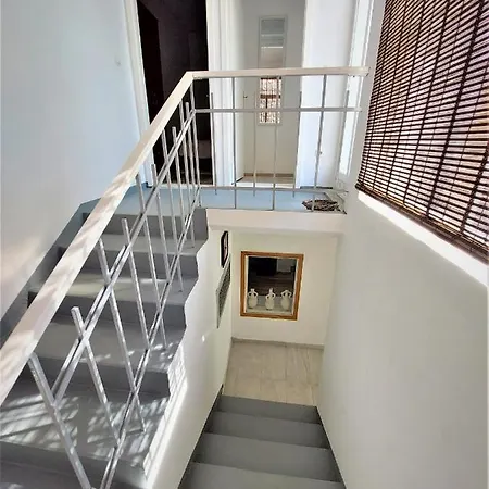 Center מורטר